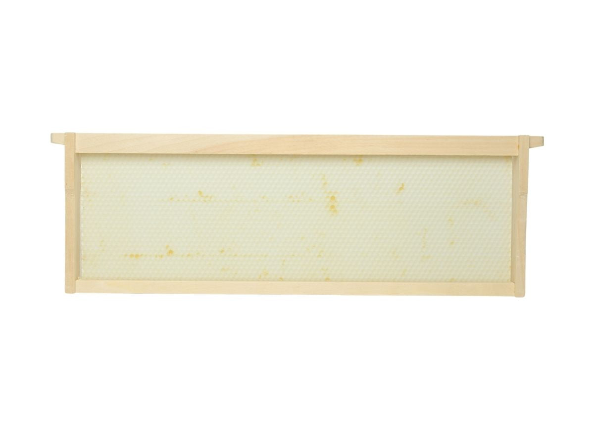 Honey Keeper 6” Waxed Plastic Foundations – Medium – 10 Pack – Beekeeping Supplies