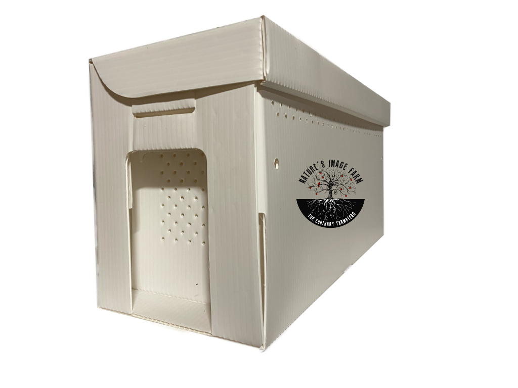 NAHBE BeeExpo 2024 Jester EZ NUC *PICKUP ONLY*