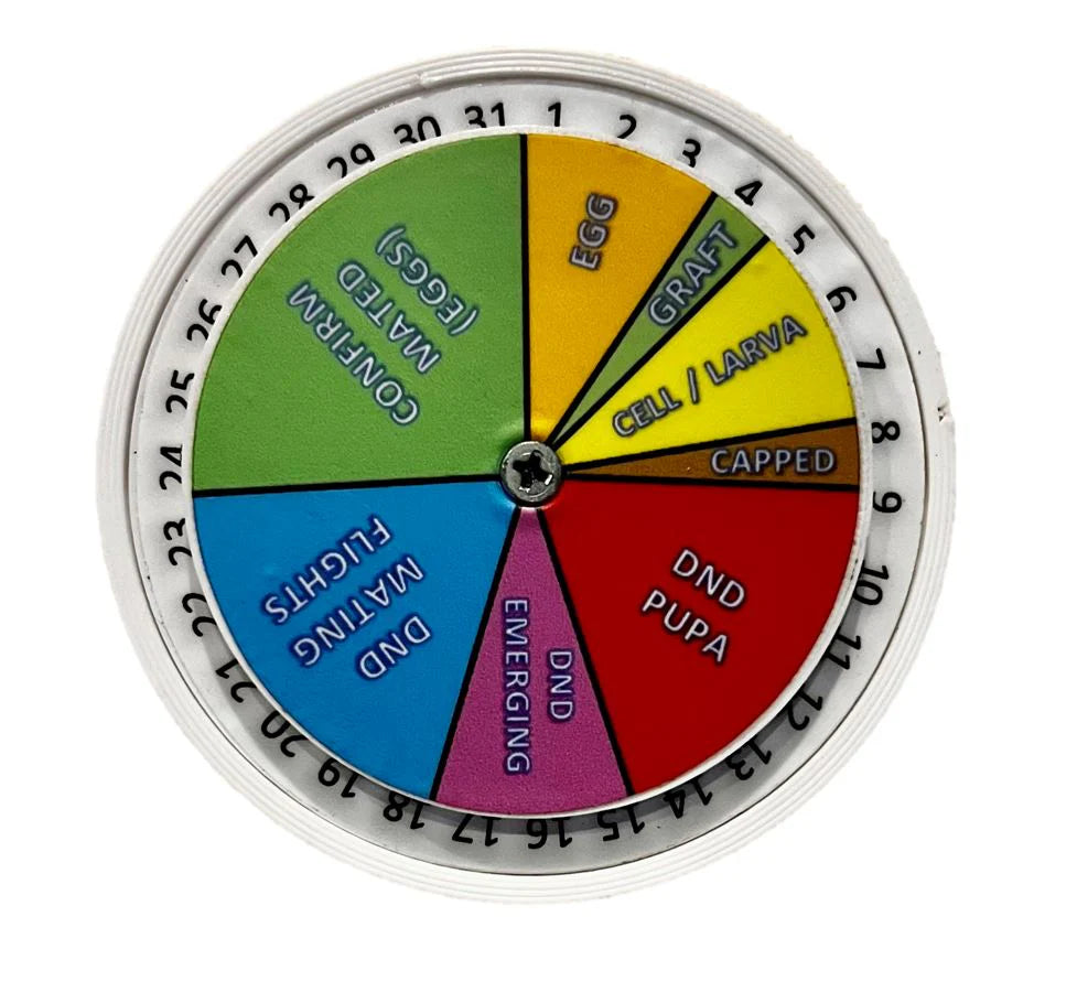 Queen Right Dial - Mating Indicator Pod