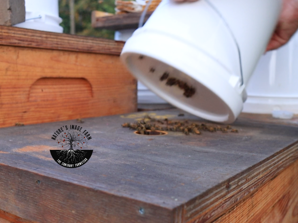 NAHBE BeeExpo 2024 Premium Wax Dipped Migratory Lid *PICKUP ONLY*