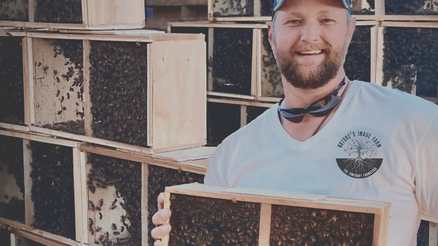 3lb Package Bees 2025