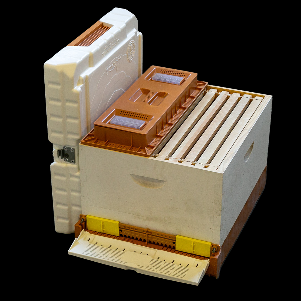 Api Nayed Apimaye Hive Upgrade Kit – Nature's Image Farm