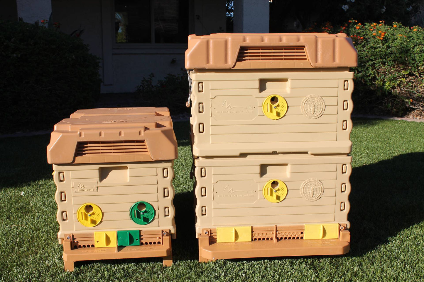 7 Frame NUC White Bee Hive Set