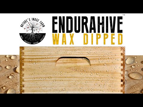 Propola Endurahive Wax Dipped Box – Nature's Image Farm