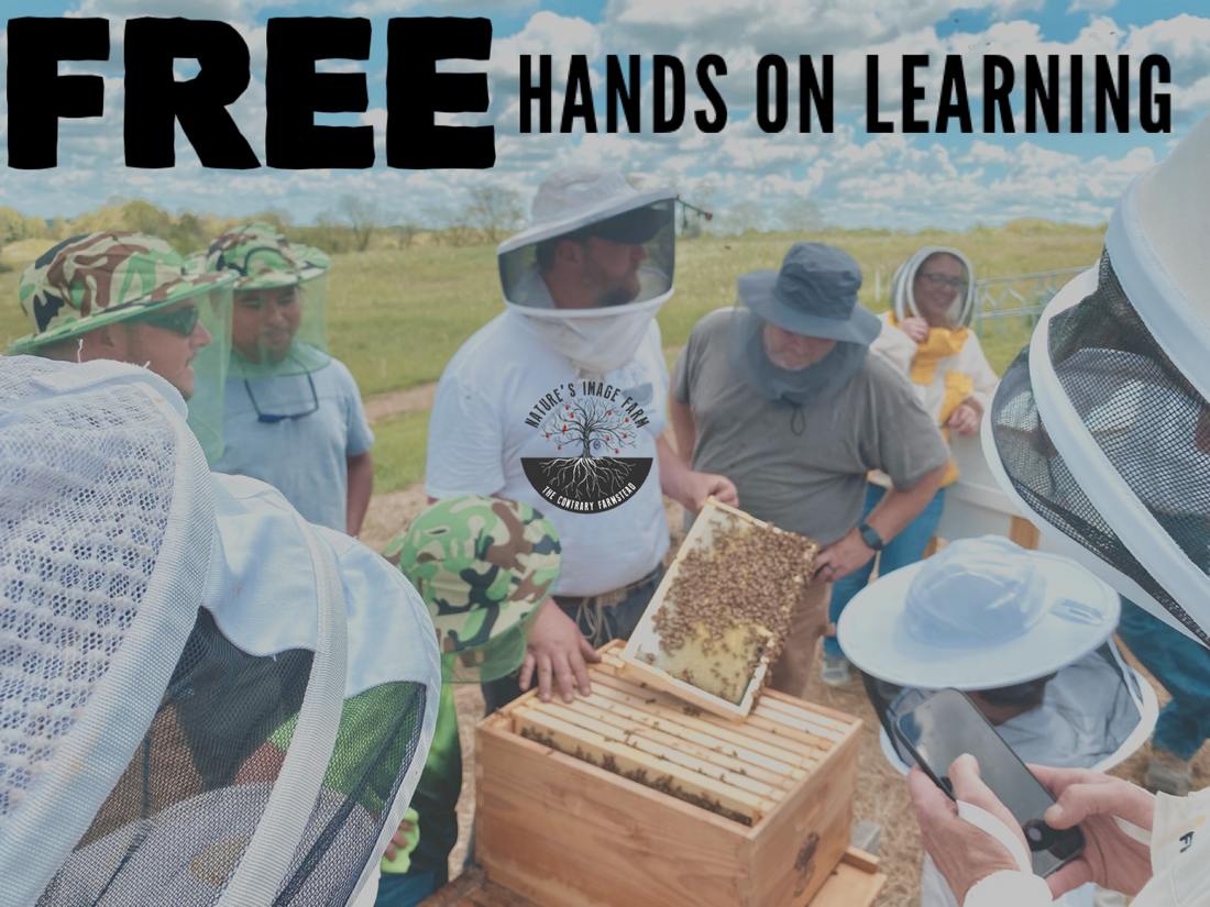 Nature's Image Farm – Nature's Image Farm