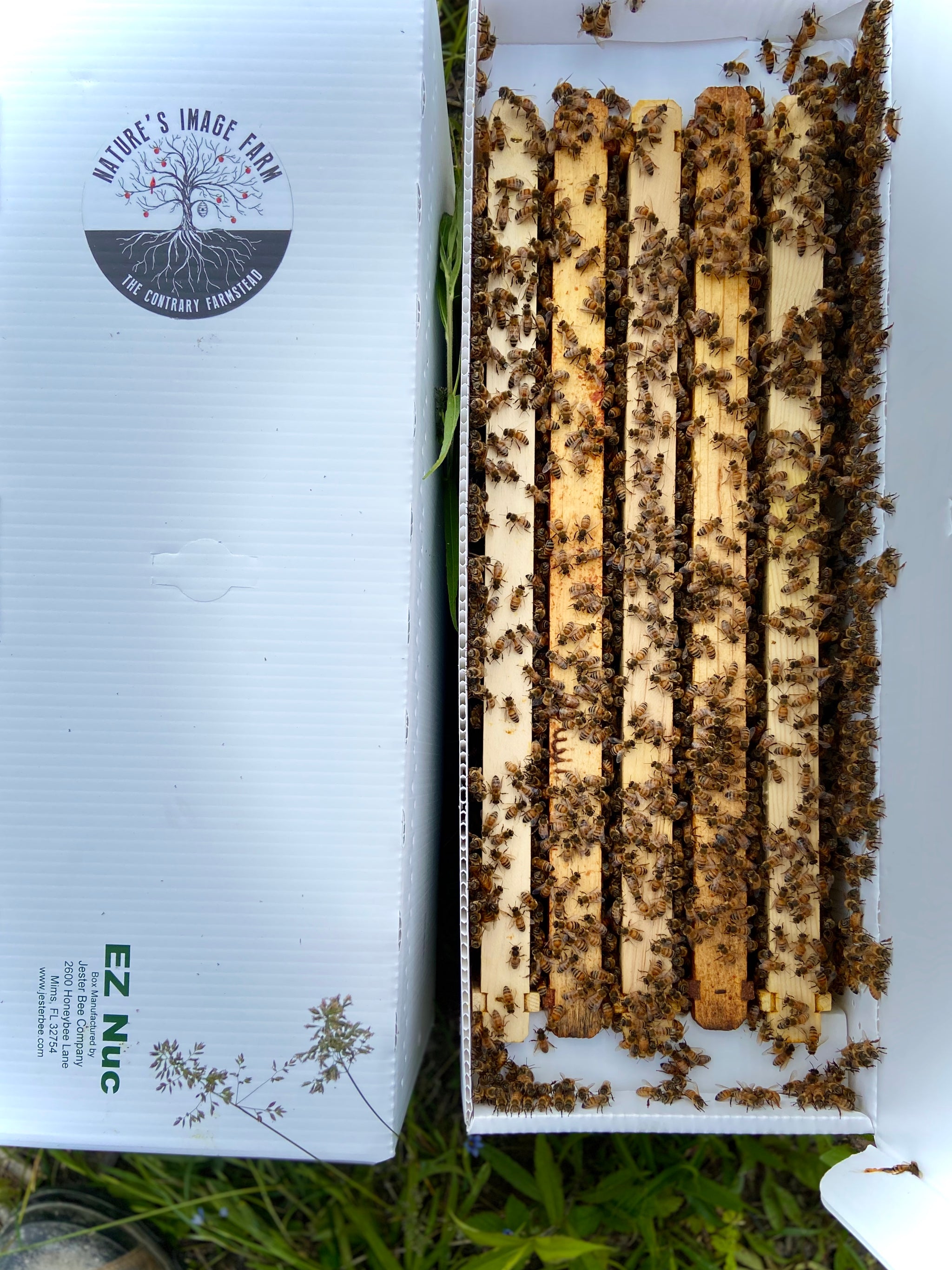 Nature's Image Farm – Nature's Image Farm