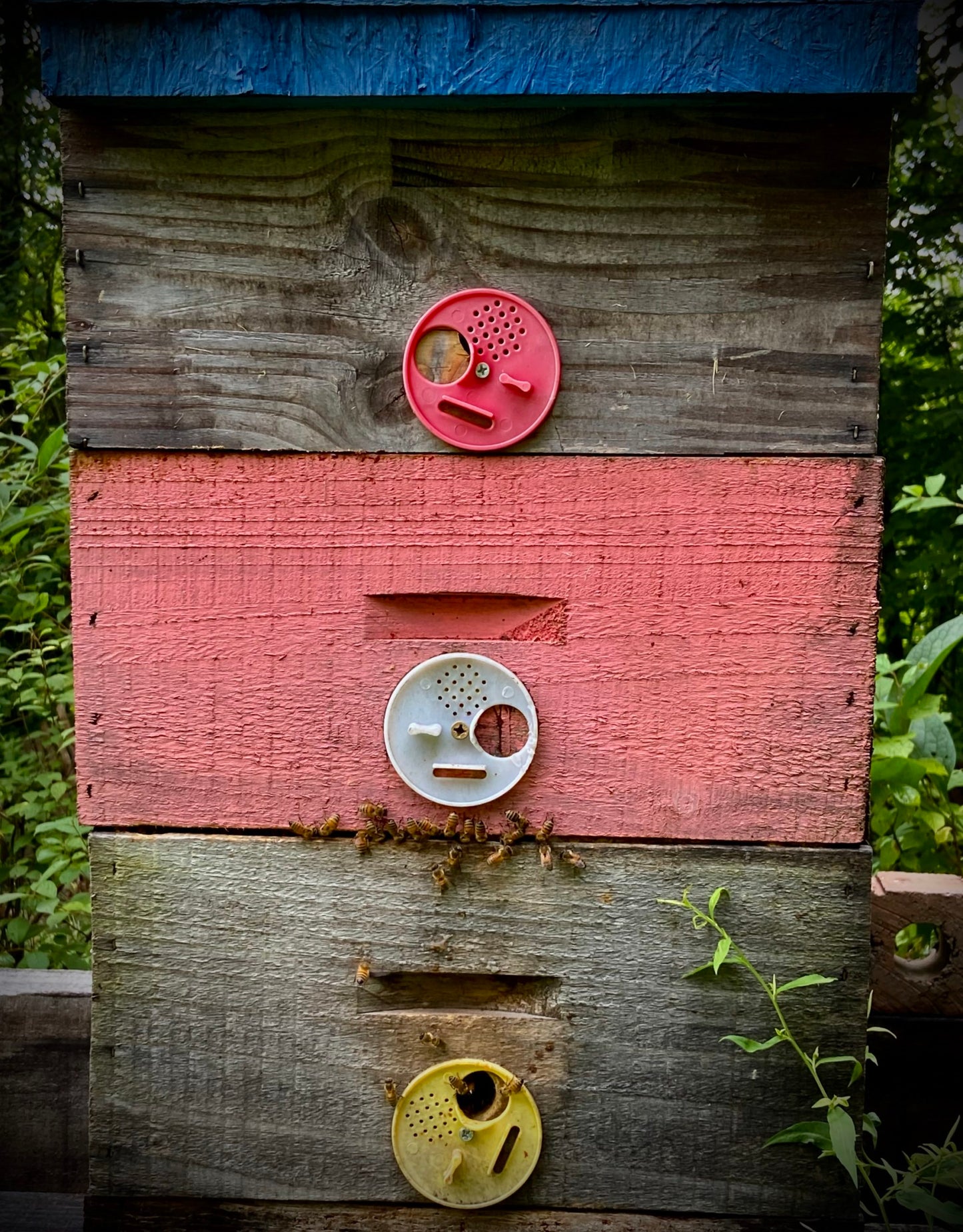 Entrance Dials